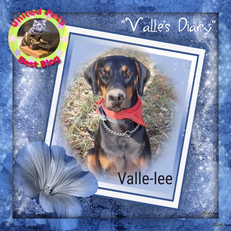 Rangoon uploaded   93  day/s  ago