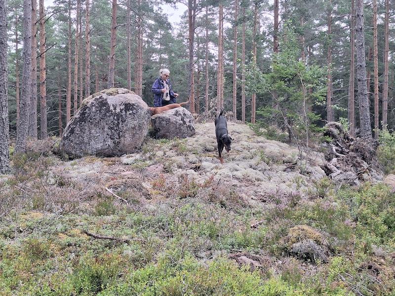 Rangoon uploaded   201  day/s  ago