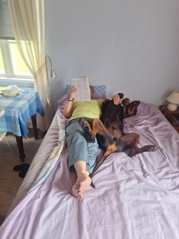 Rangoon uploaded   251  day/s  ago