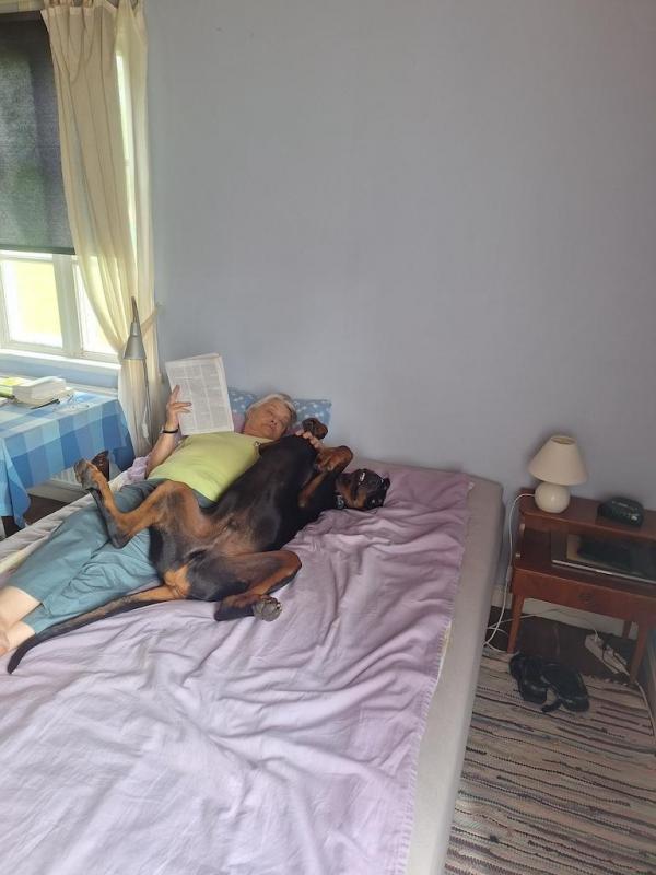 Rangoon uploaded   251  day/s  ago