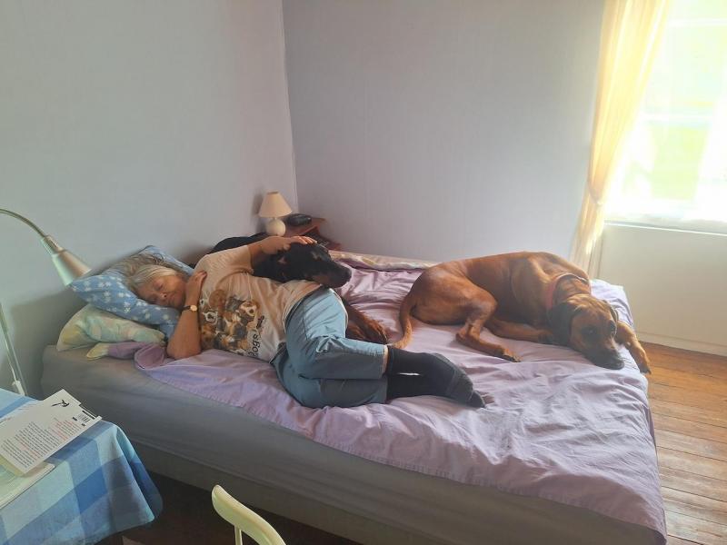 Rangoon uploaded   251  day/s  ago