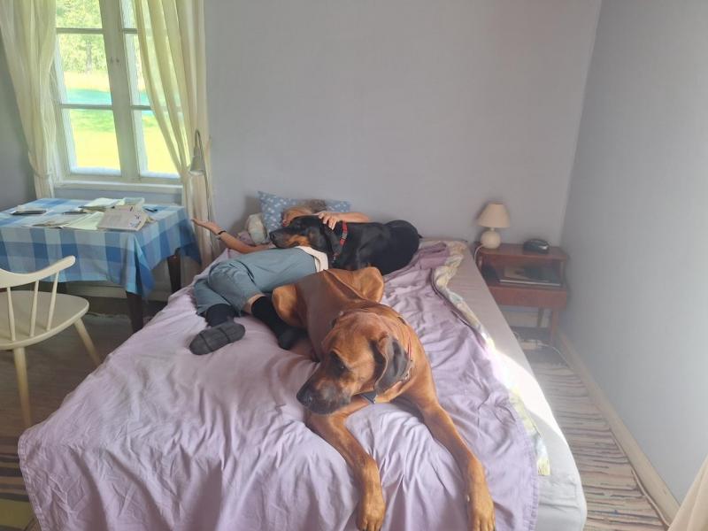 Rangoon uploaded   251  day/s  ago