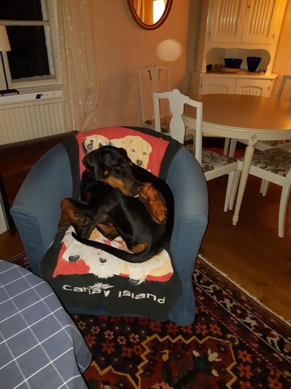 Rangoon uploaded   235  day/s  ago