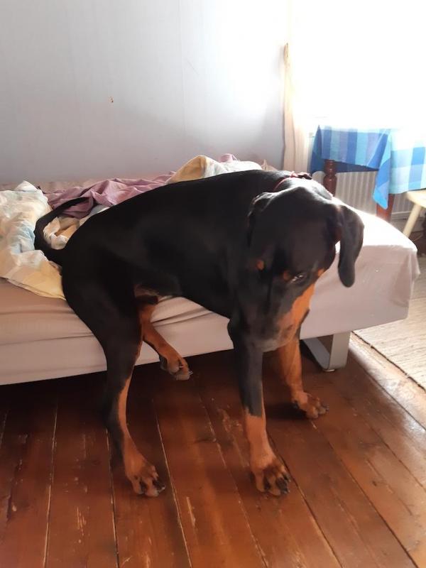 Rangoon uploaded   214  day/s  ago