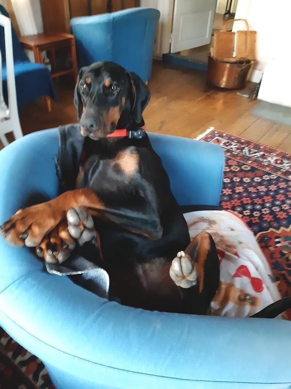 Rangoon uploaded   141  day/s  ago