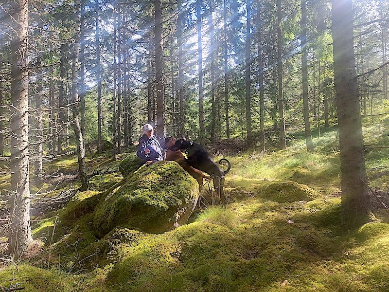 Rangoon uploaded   228  day/s  ago