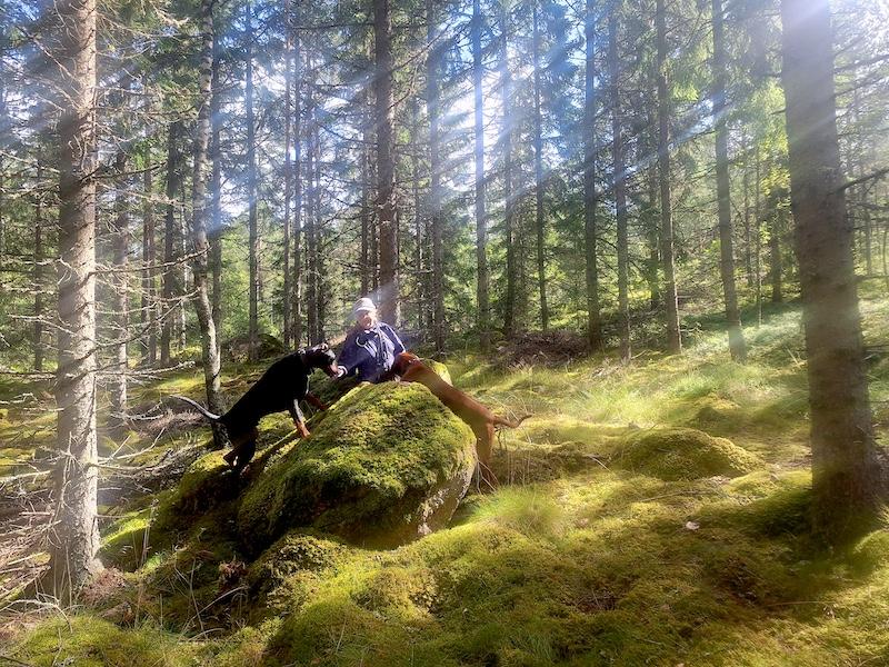 Rangoon uploaded   228  day/s  ago