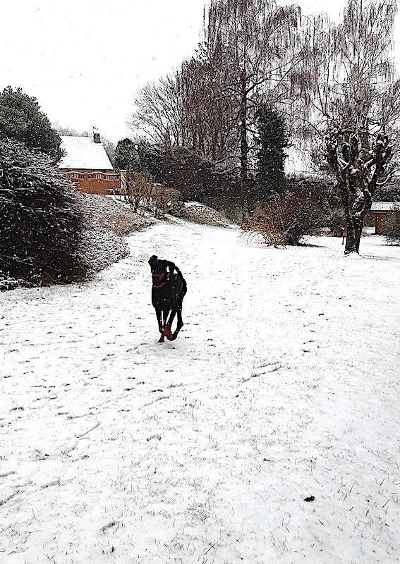 Rangoon uploaded   88  day/s  ago