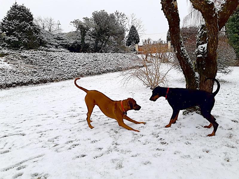 Rangoon uploaded   88  day/s  ago