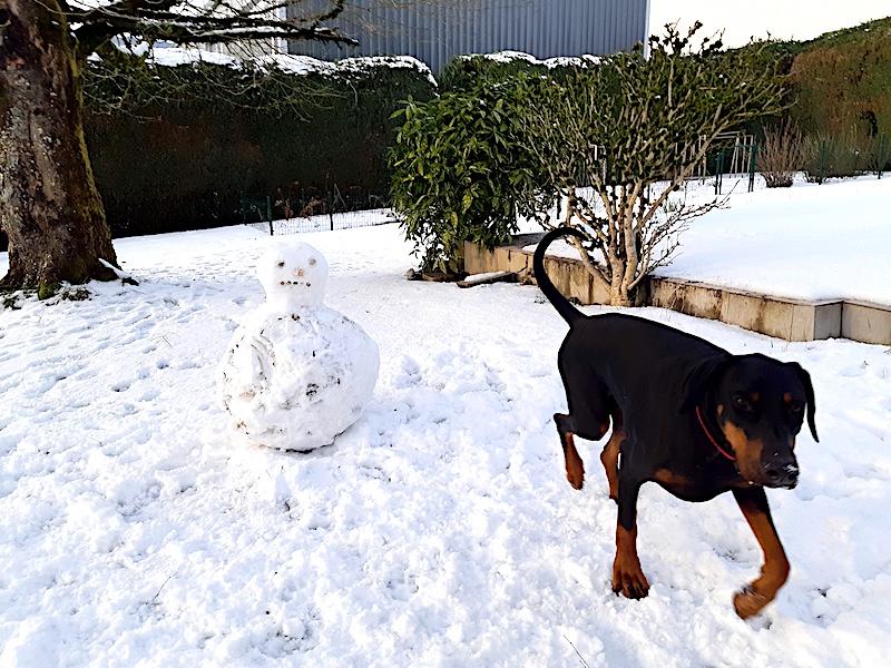 Valle-lee of the Rangoon family