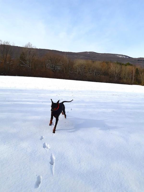 Rangoon uploaded   54  day/s  ago