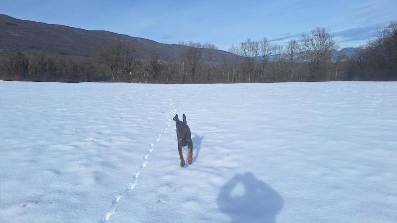 Rangoon uploaded   54  day/s  ago