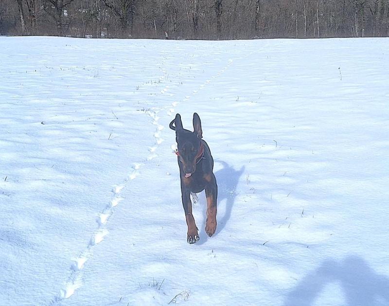 Rangoon uploaded   54  day/s  ago