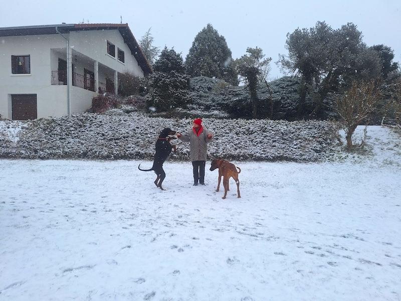 Rangoon uploaded   73  day/s  ago