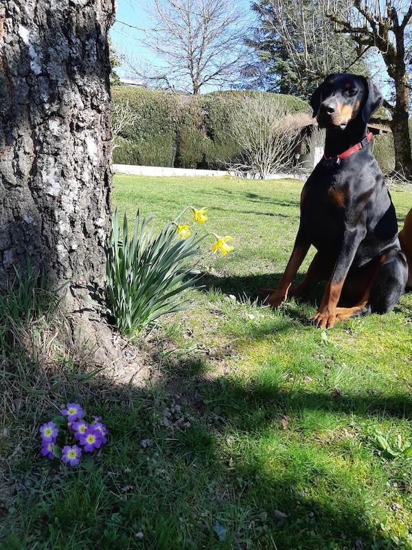 Valle-lee of the Rangoon family