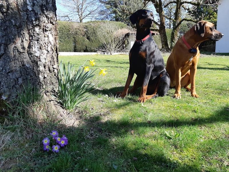 Valle-lee of the Rangoon family