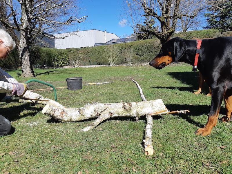 Valle-lee of the Rangoon family