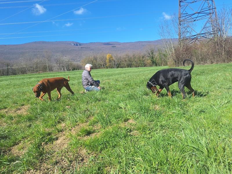 Rangoon uploaded   10  day/s  ago