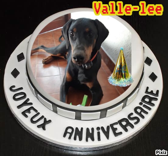 Rangoon uploaded   75  day/s  ago