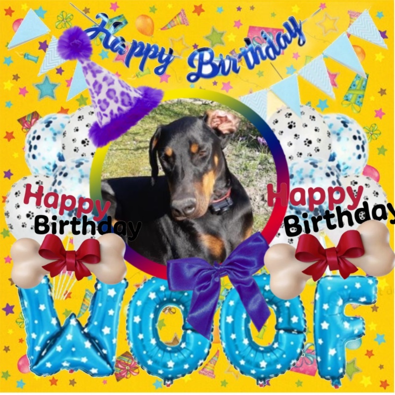 Valle-lee of the Rangoon family