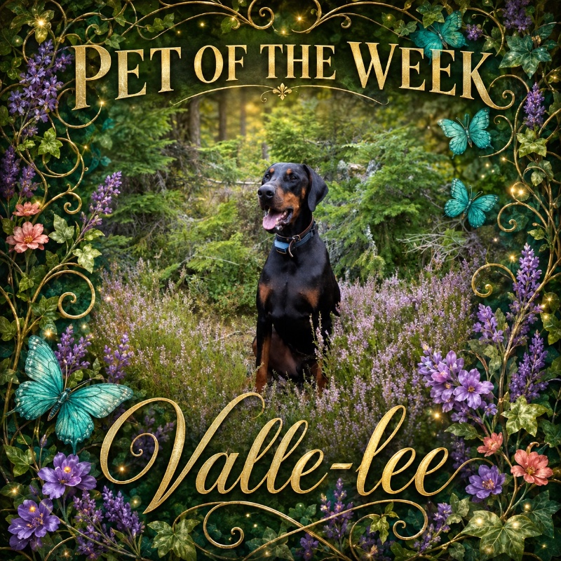 Valle-lee of the Rangoon family