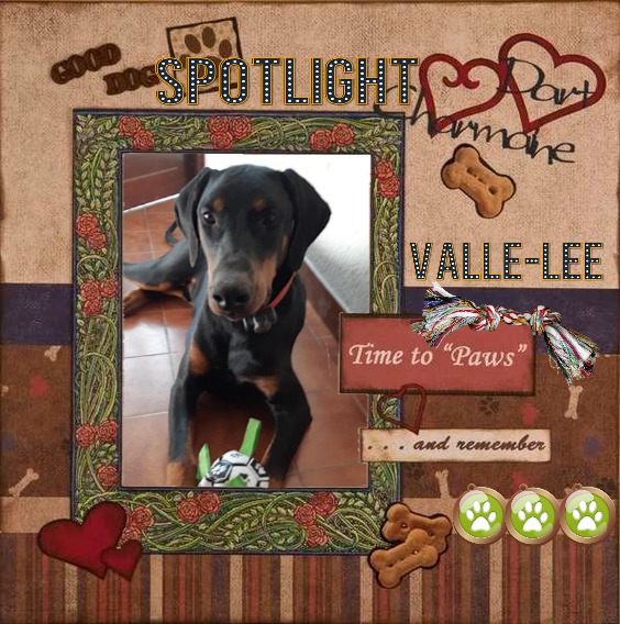 Valle-lee of the Rangoon family
