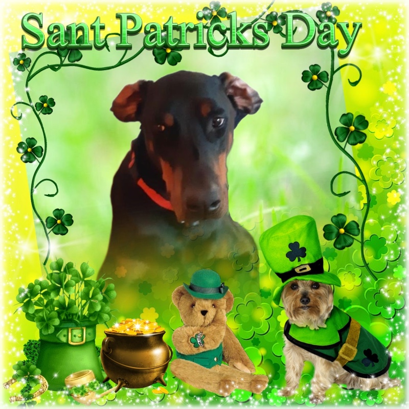 Valle-lee of the Rangoon family