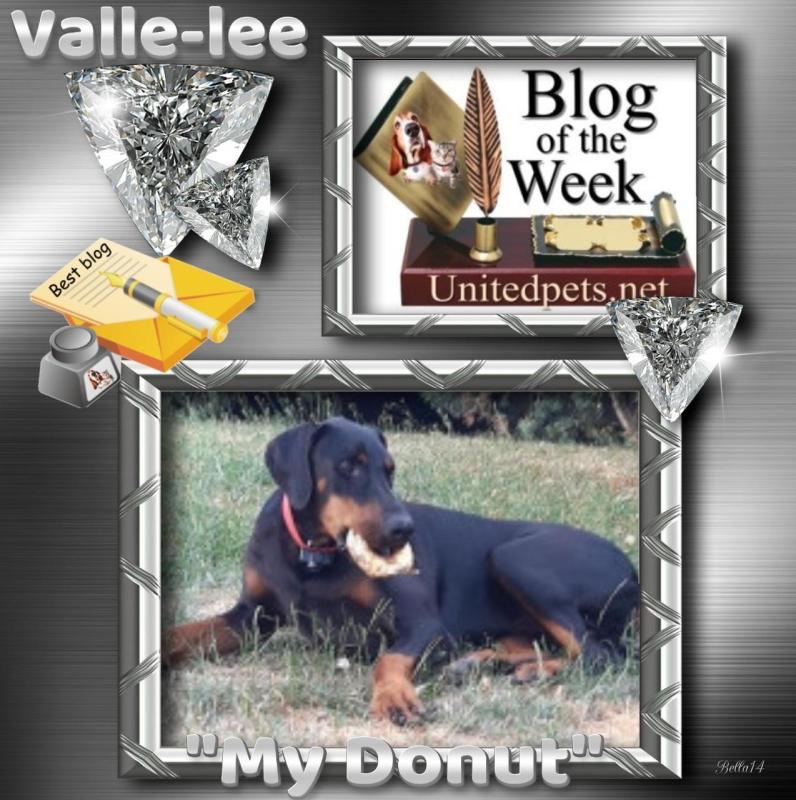 Valle-lee of the Rangoon family