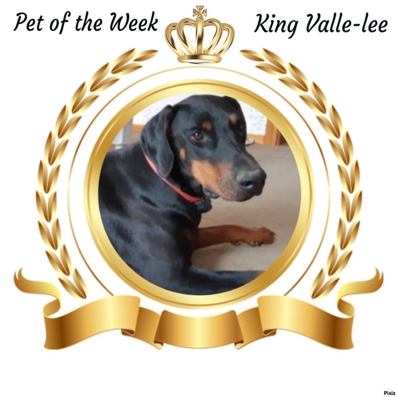 Valle-lee of the Rangoon family