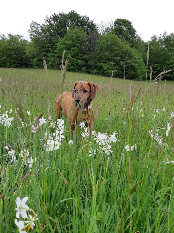 Rangoon uploaded   4 year/s ago