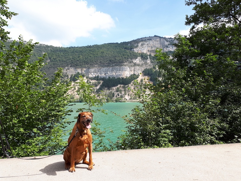 Rangoon uploaded   4 year/s ago