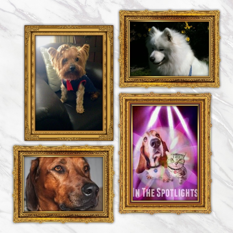 Eureka Saba of the Rangoon family