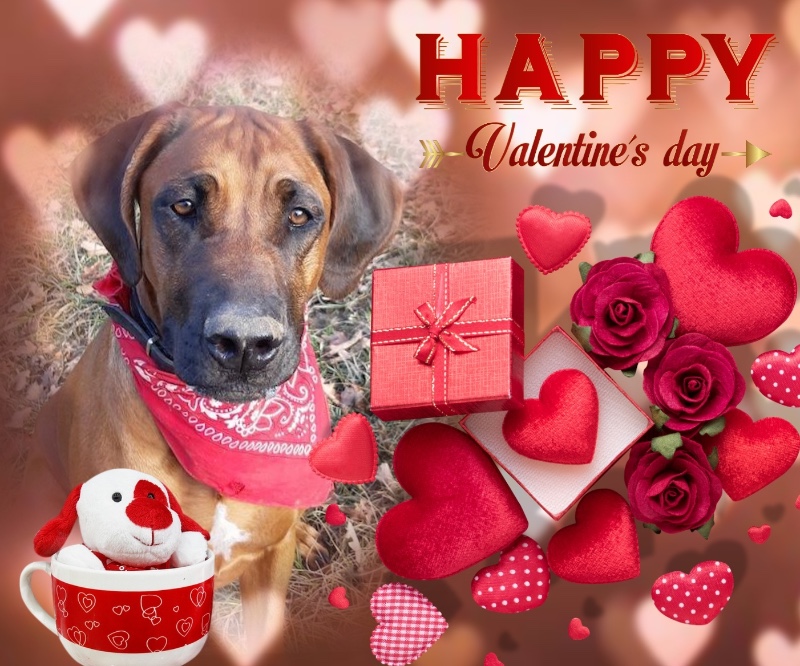 Eureka Saba of the Rangoon family