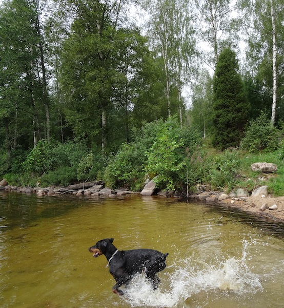 Rangoon uploaded   11 year/s ago