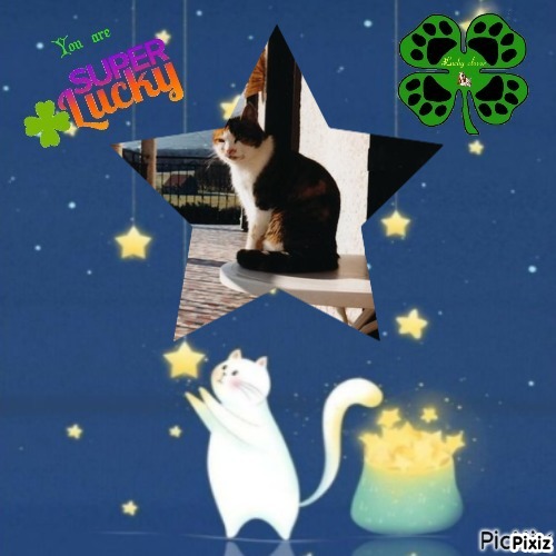 Rangoon uploaded   16  day/s  ago