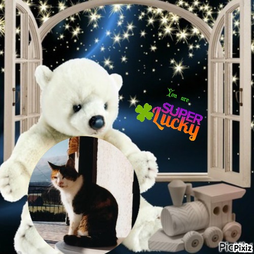 Rangoon uploaded   16  day/s  ago