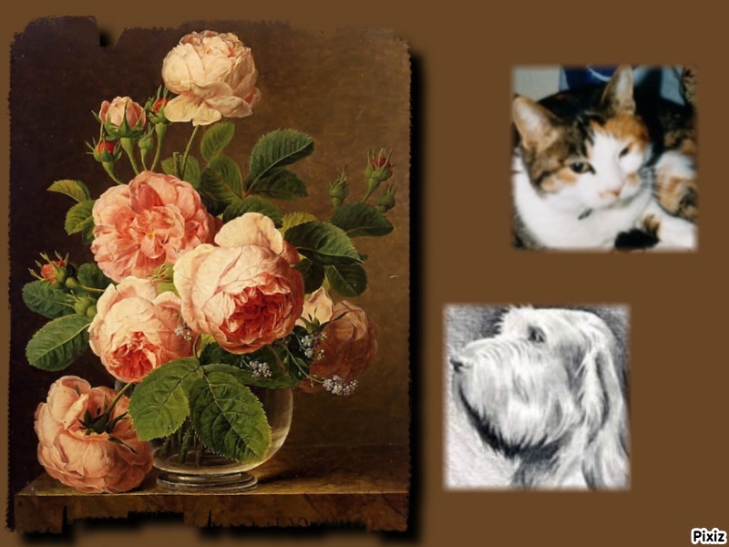 Mimi of the Rangoon family