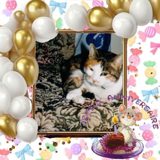 Mimi of the Rangoon family