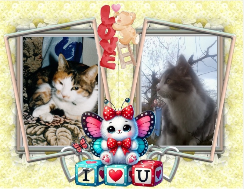 Mimi of the Rangoon family