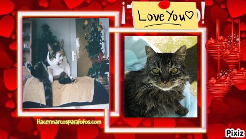 Mimi of the Rangoon family