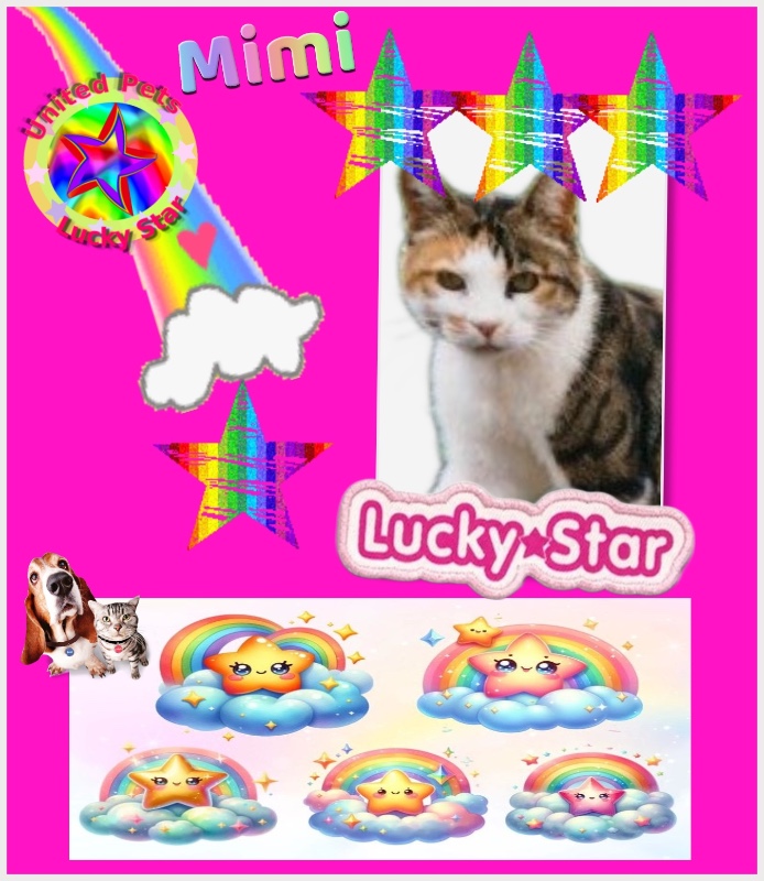 Rangoon uploaded   14  day/s  ago