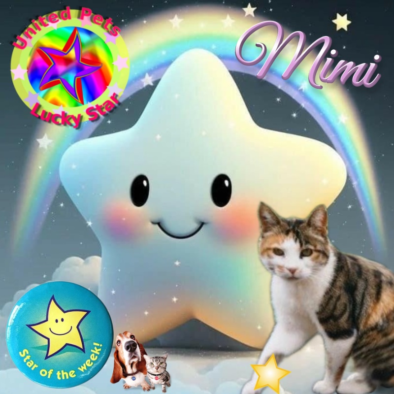 Rangoon uploaded   16  day/s  ago