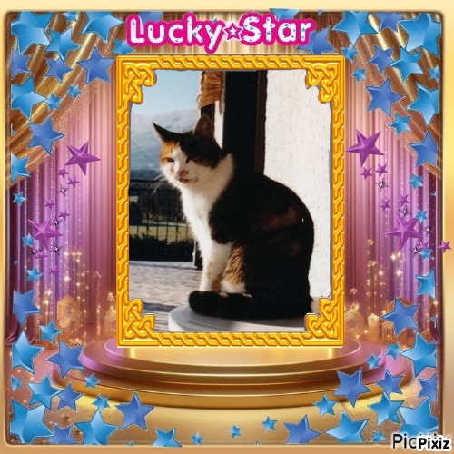 Rangoon uploaded   16  day/s  ago