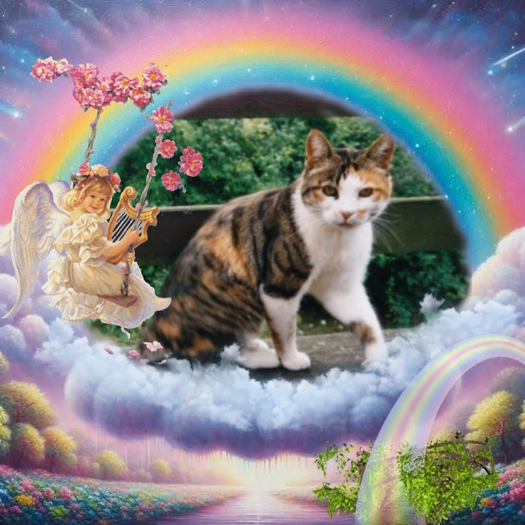 Mimi of the Rangoon family