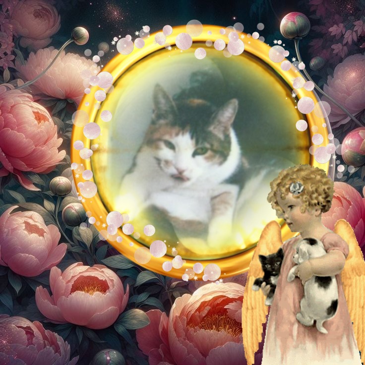 Mimi of the Rangoon family