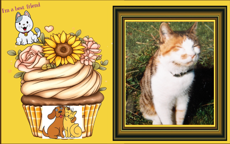 Mimi of the Rangoon family