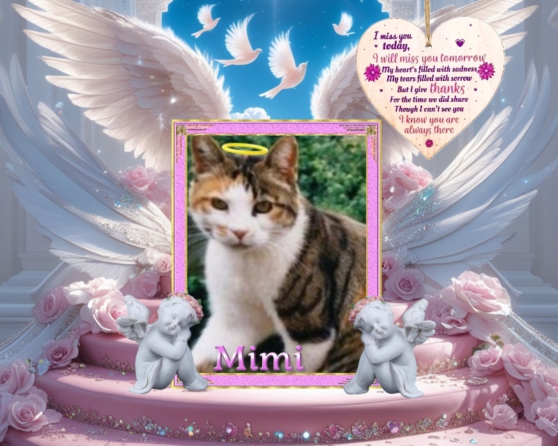 Rangoon uploaded   4 hour/s ago