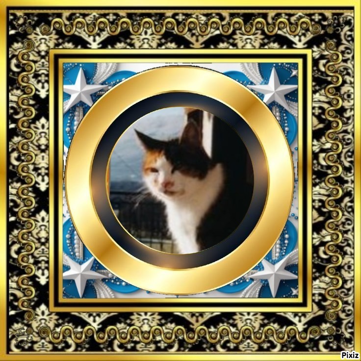 Rangoon uploaded   14  day/s  ago