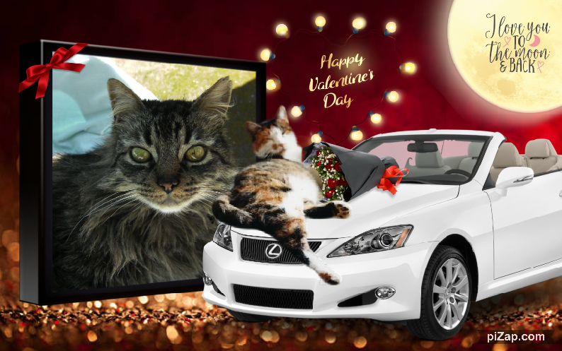 Mimi of the Rangoon family