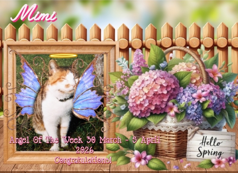 Mimi of the Rangoon family